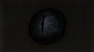 The menu icon for the Iris of Occultation in Elden Ring Shadow of the Erdtree.